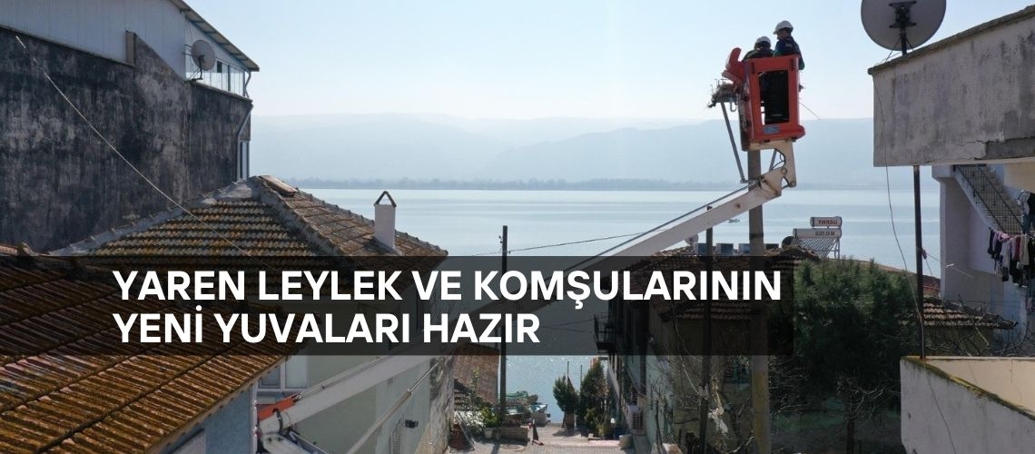 Yaren leylek ve komşularının yeni yuvaları hazır
