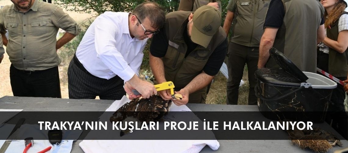Trakya’nın kuşları proje ile halkalanıyor