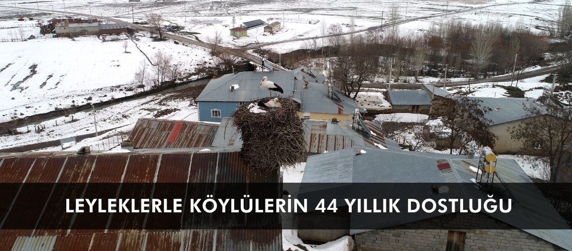 Leyleklerle köylülerin 44 yıllık dostluğu