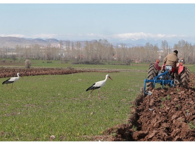 Herkes rızkının peşinde