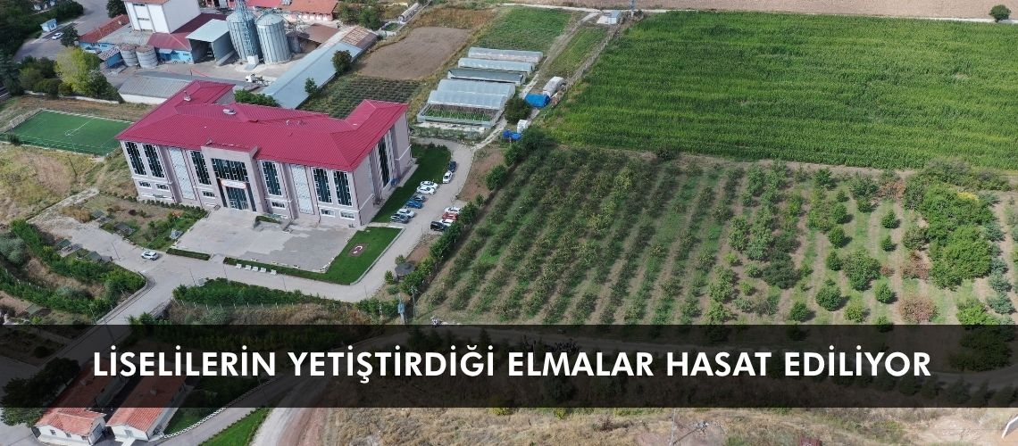 Liselilerin yetiştirdiği elmalar hasat ediliyor