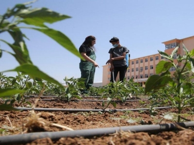 Tarım liseleri için çalışmalar başladı
