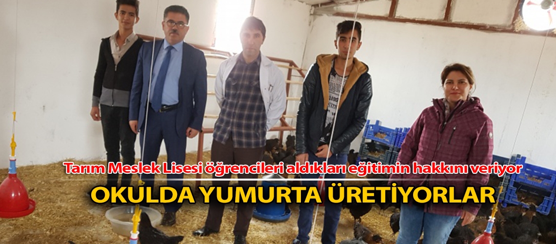 Okulda yumurta üretiyorlar