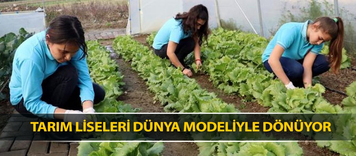 Tarım liseleri dünya modeliyle dönüyor