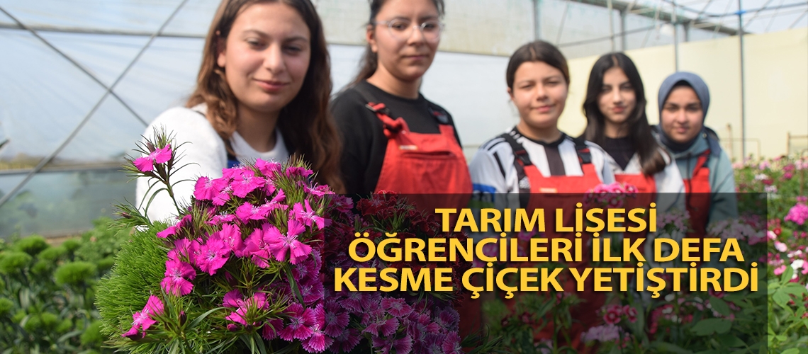 Tarım Lisesi öğrencileri ilk defa kesme çiçek yetiştirdi