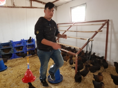 Okulda yumurta üretiyorlar