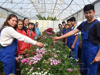 Tarım Lisesi öğrencileri ilk defa kesme çiçek yetiştirdi