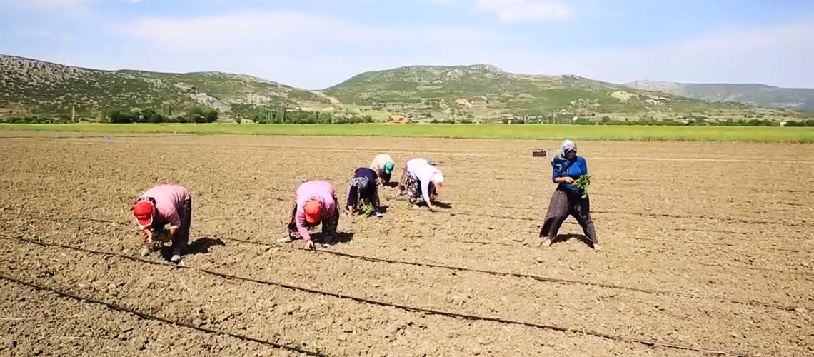 Çölleşme ile Mücadelede Kadın