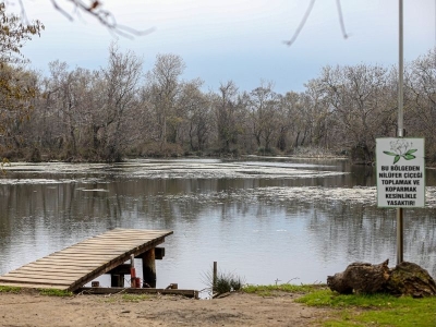 Karacabey Longozu yağışlar ile doldu
