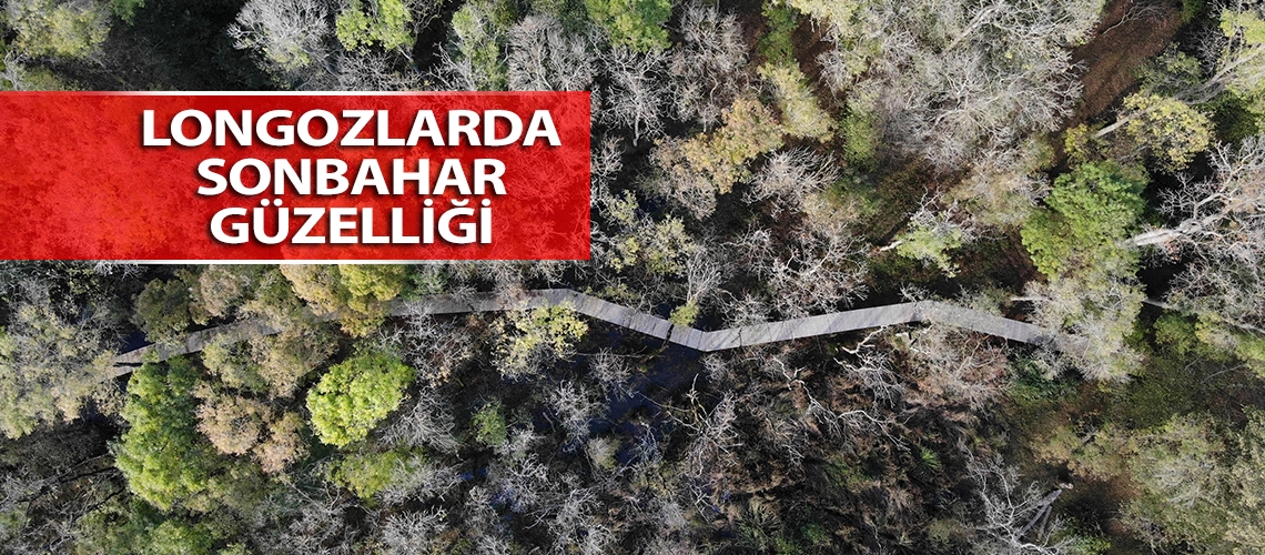 Longozlarda sonbahar güzelliği