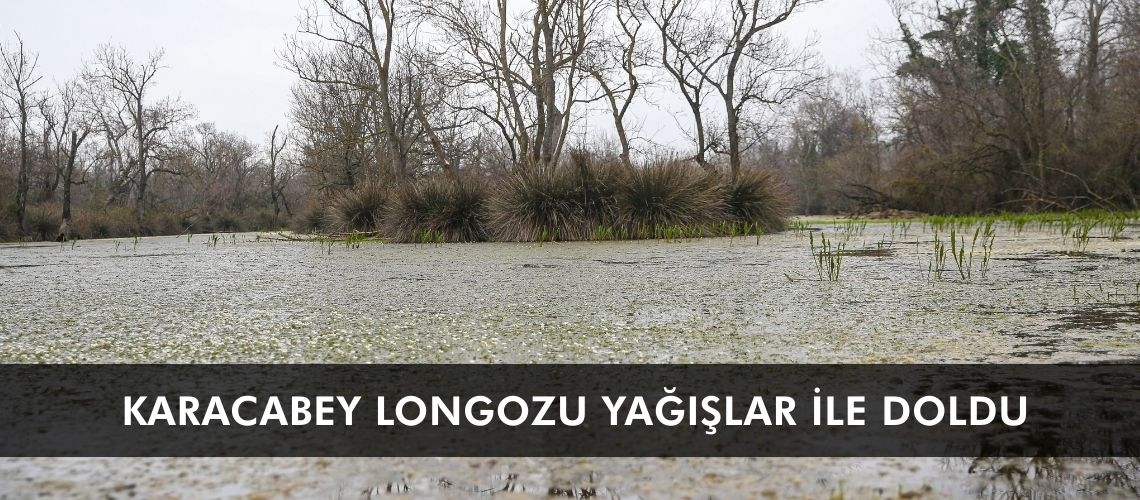 Karacabey Longozu yağışlar ile doldu
