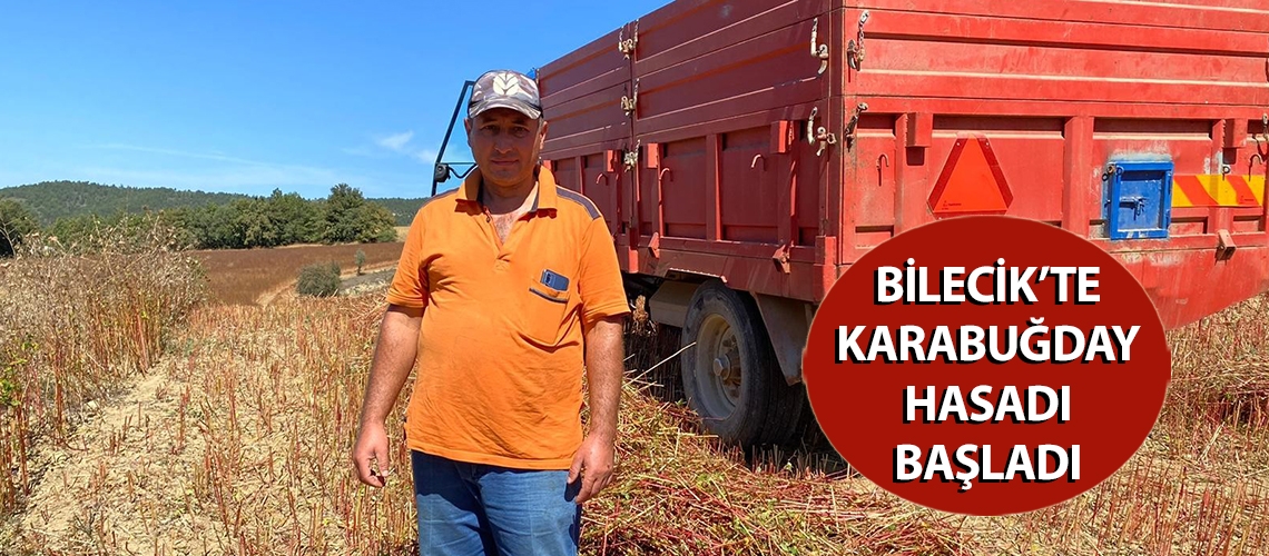 Bilecik’te karabuğday hasadı başladı