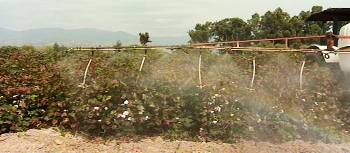 Makinalı Pamuk Hasadında Defoliant Uygulaması