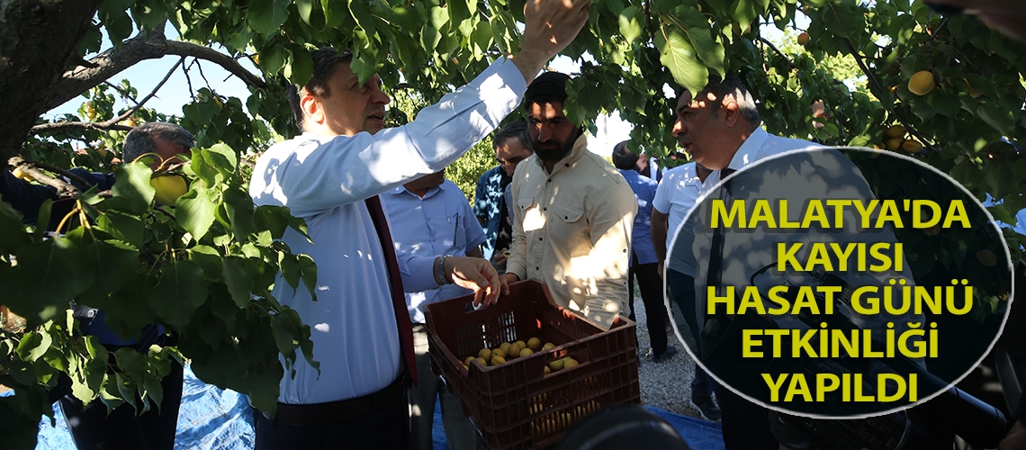 Malatya'da kayısı hasat günü etkinliği yapıldı