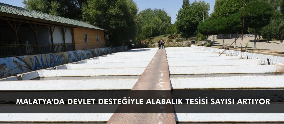 Malatya'da devlet desteğiyle alabalık tesisi sayısı artıyor