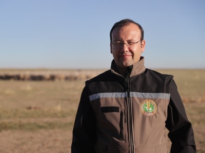 Malya Tarım İşletmesinin koyunculuğa desteği sürüyor