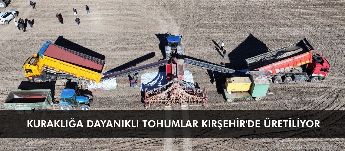 Kuraklığa dayanıklı tohumlar Kırşehir'de üretiliyor