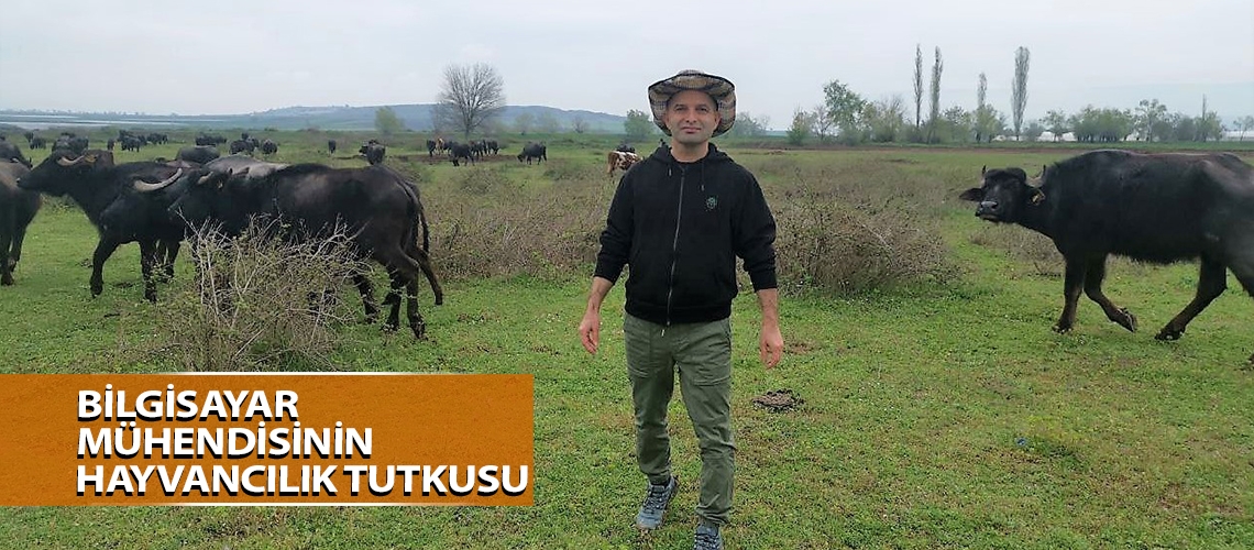 Bilgisayar mühendisinin hayvancılık tutkusu