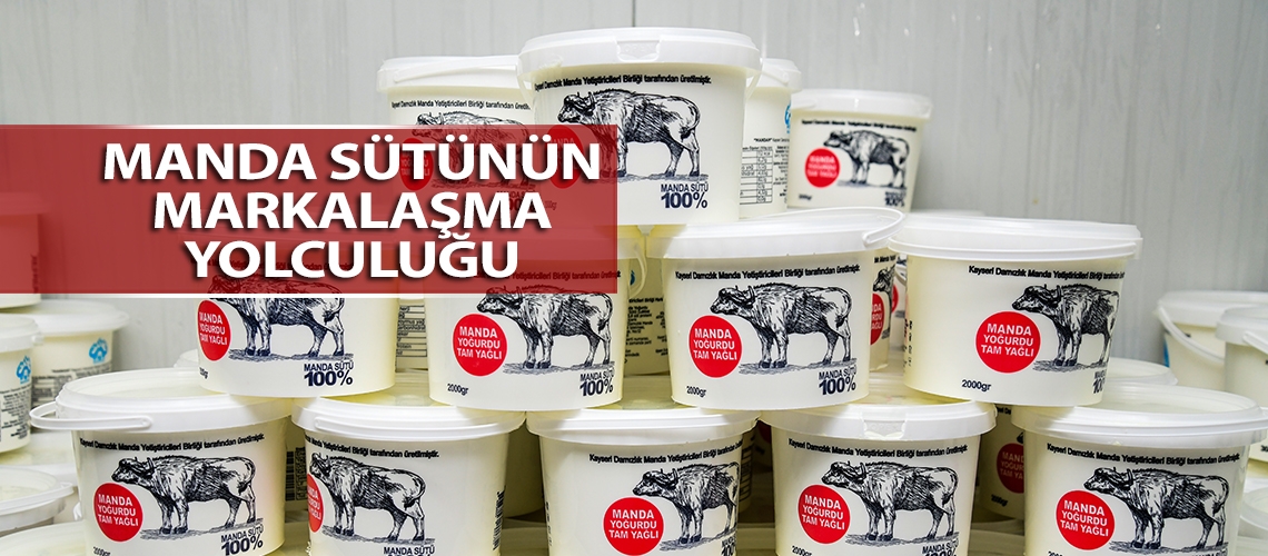 Manda sütünün markalaşma yolculuğu