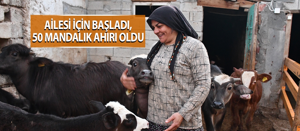 Ailesi için başladı, 50 mandalık ahırı oldu