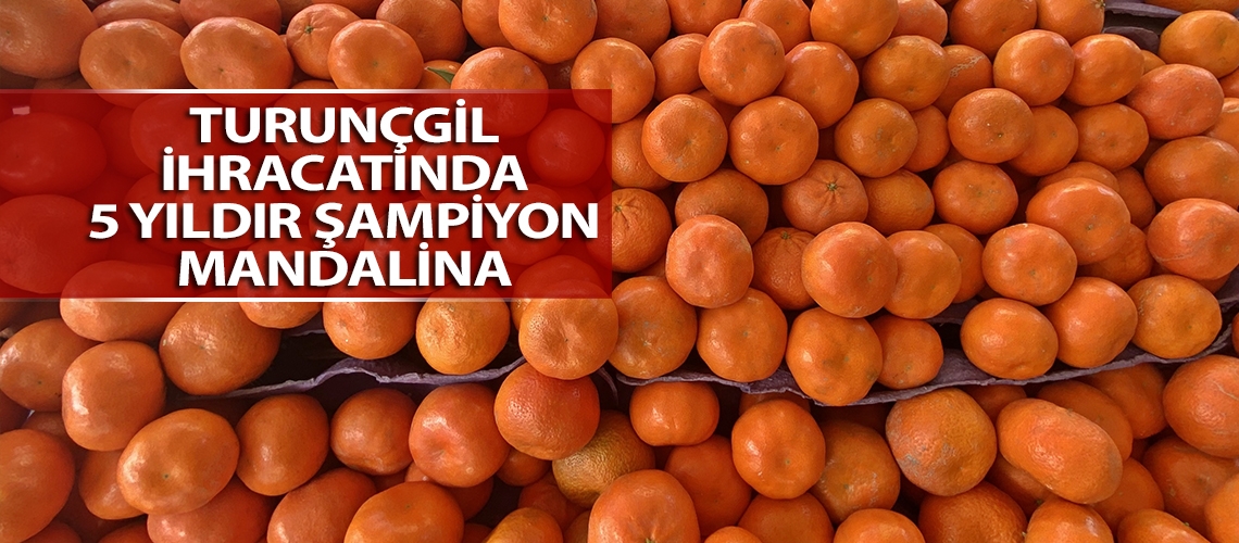 Turunçgil ihracatında 5 yıldır şampiyon mandalina