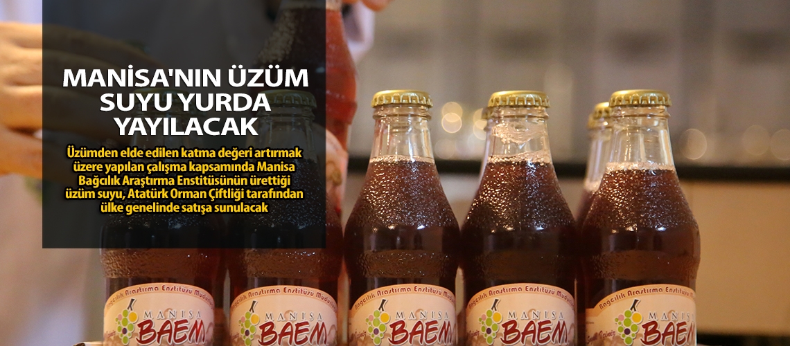 Manisa'nın üzüm suyu yurda yayılacak