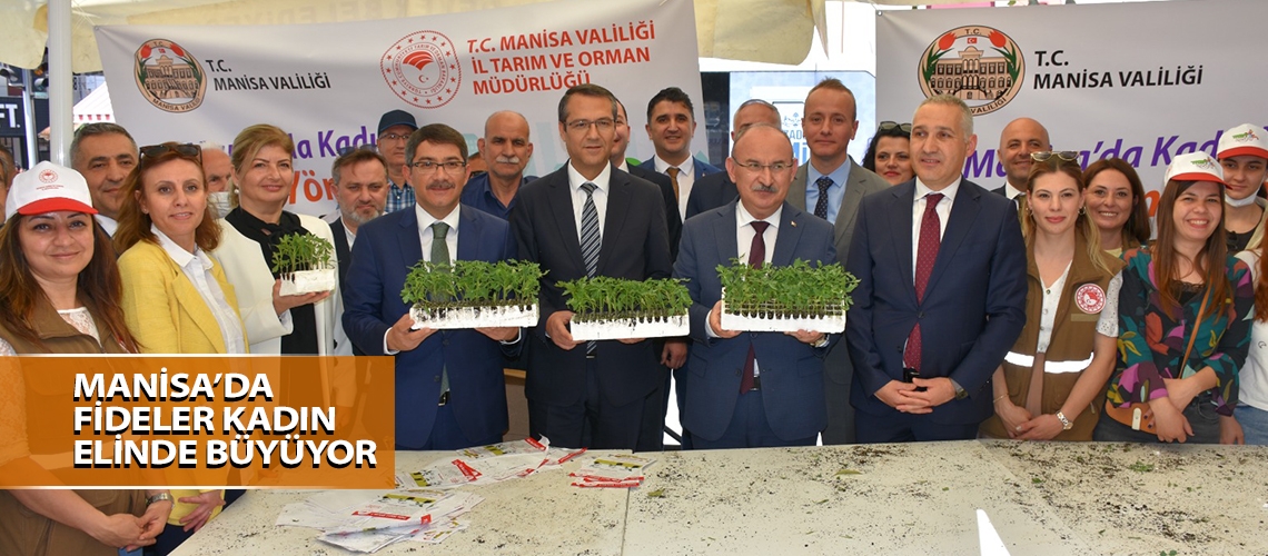 Manisa’da fideler kadın elinde büyüyor