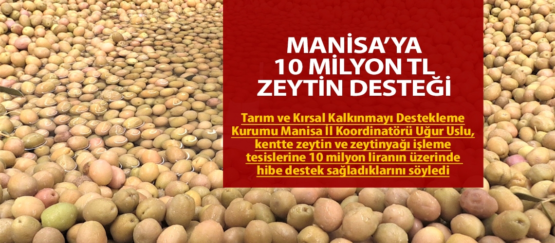 Manisa’ya 10 milyon TL zeytin desteği