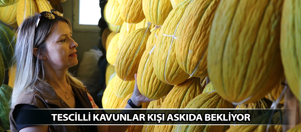 Tescilli kavunlar kışı askıda bekliyor