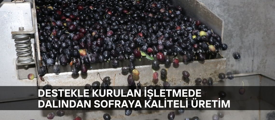 Destekle kurulan işletmede dalından sofraya kaliteli üretim