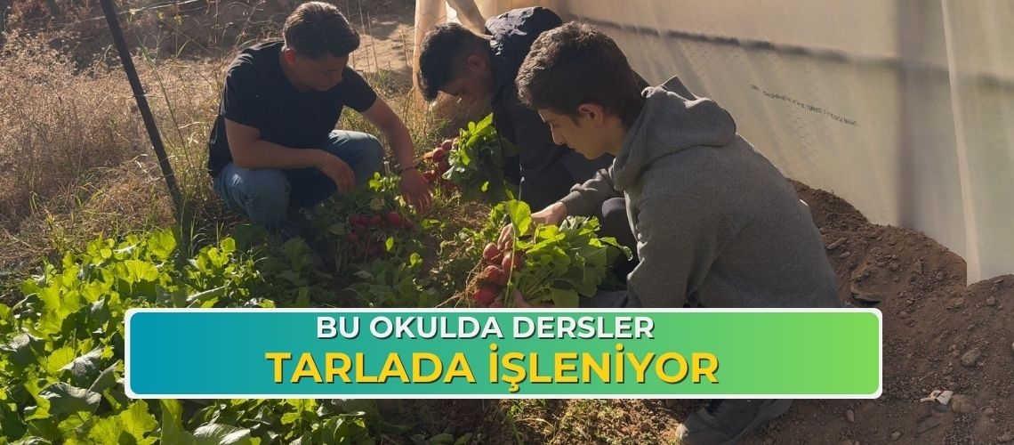 Bu okulda dersler tarlada işleniyor