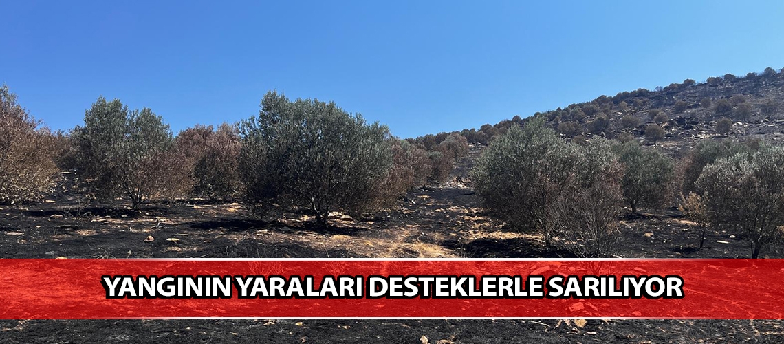Yangının yaraları desteklerle sarılıyor
