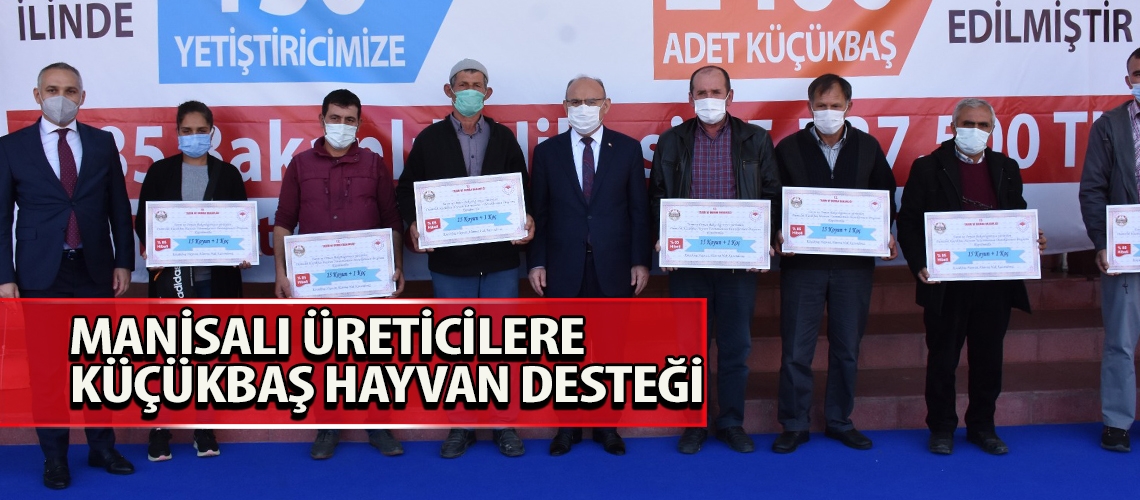 Manisalı üreticilere küçükbaş hayvan desteği