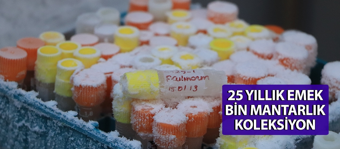 25 yıllık emek bin mantarlık koleksiyon