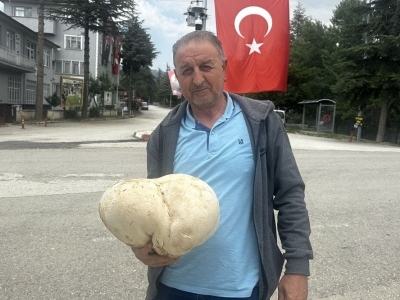 Ispartalı çiftçi 3 kilo 470 gram mantar buldu