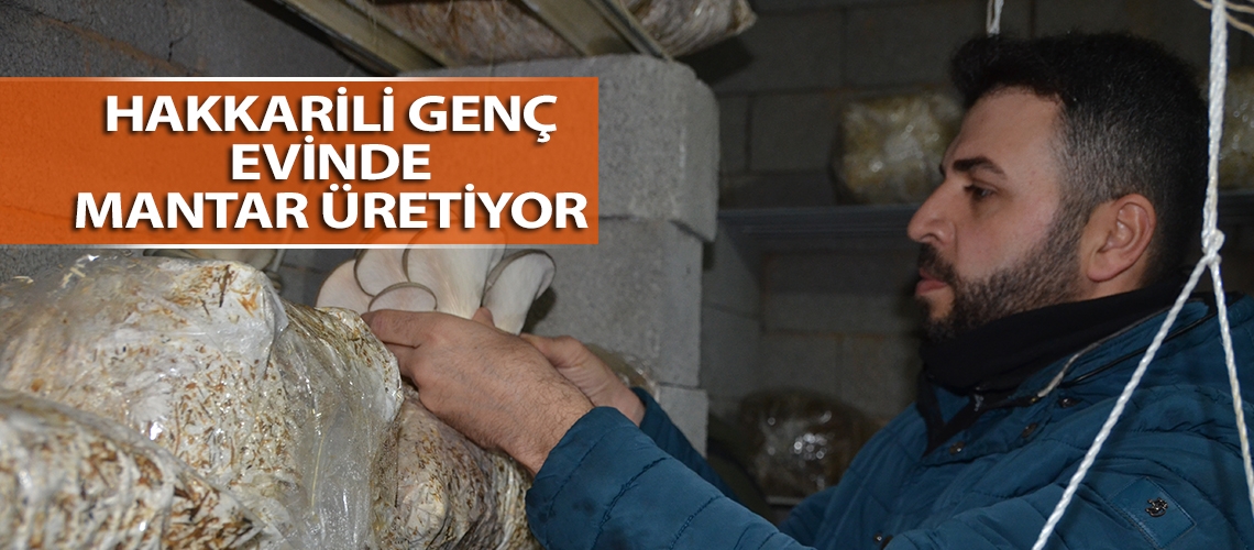 Hakkarili genç evinde mantar üretiyor