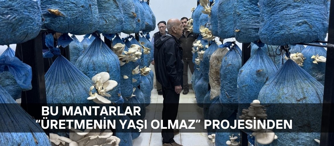 Bu mantarlar “Üretmenin yaşı olmaz” projesinden