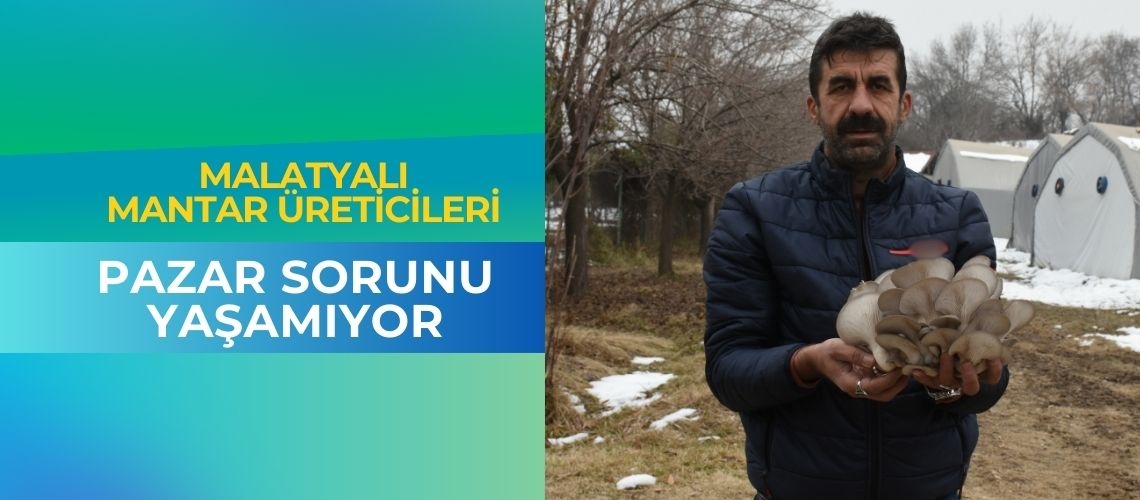 Malatyalı mantar üreticileri pazar sorunu yaşamıyor