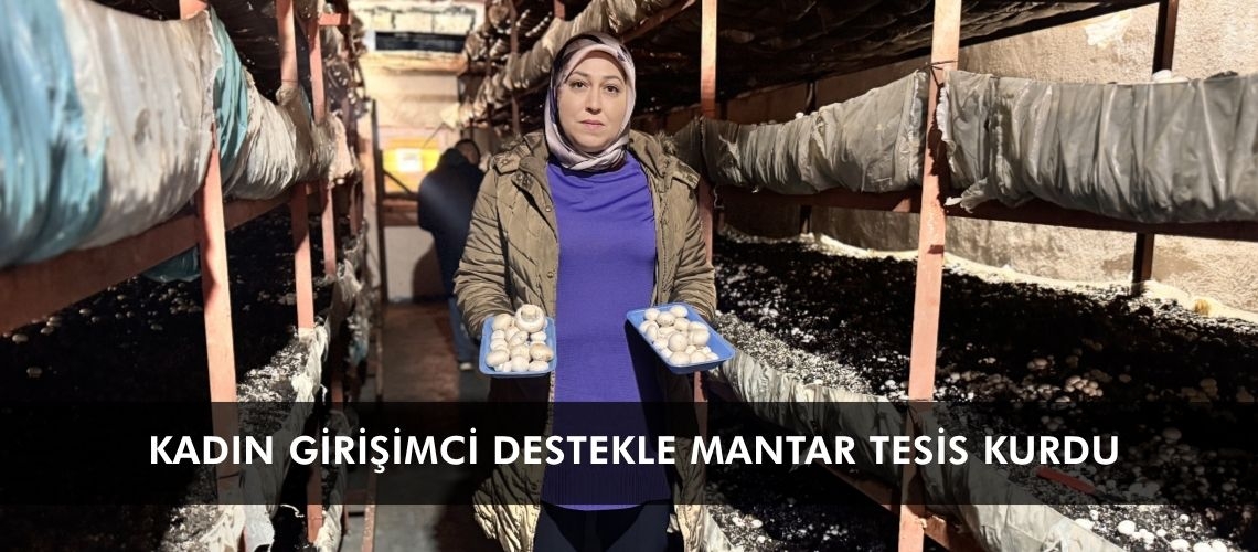 Kadın girişimci destekle mantar tesisi kurdu