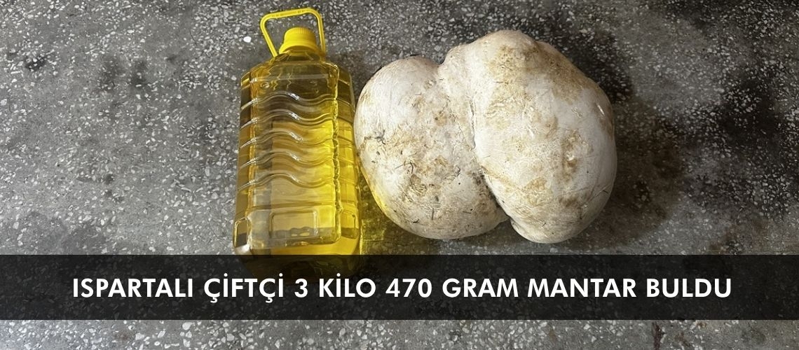 Ispartalı çiftçi 3 kilo 470 gram mantar buldu