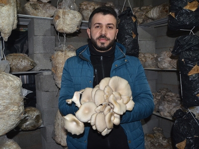 Hakkarili genç evinde mantar üretiyor