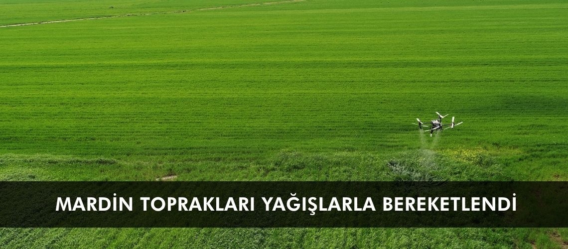 Mardin toprakları yağışlarla bereketlendi