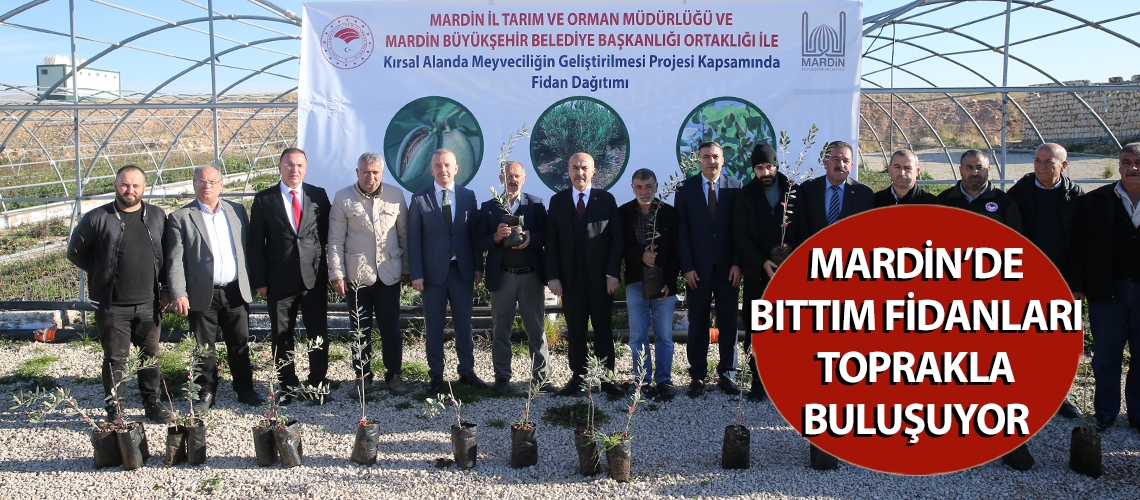 Mardin’de bıttım fidanları toprakla buluşuyor