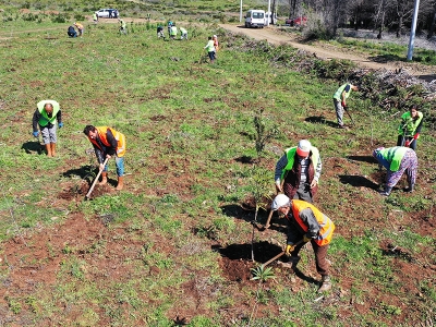 Marmaris küllerinden doğuyor