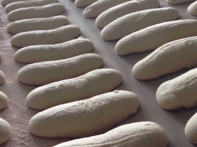 Ekmek ve zeytinyağı üretimini öğrendiler