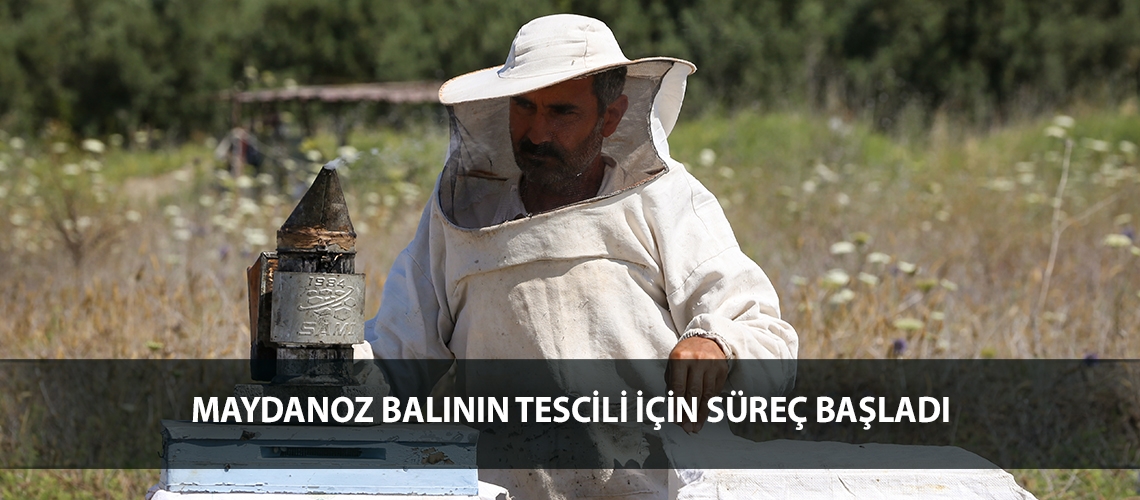 Maydanoz balının tescili için süreç başladı