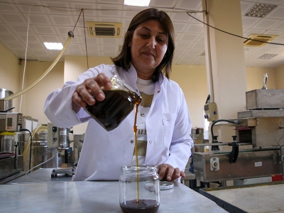 Maydanoz balının tescili için süreç başladı