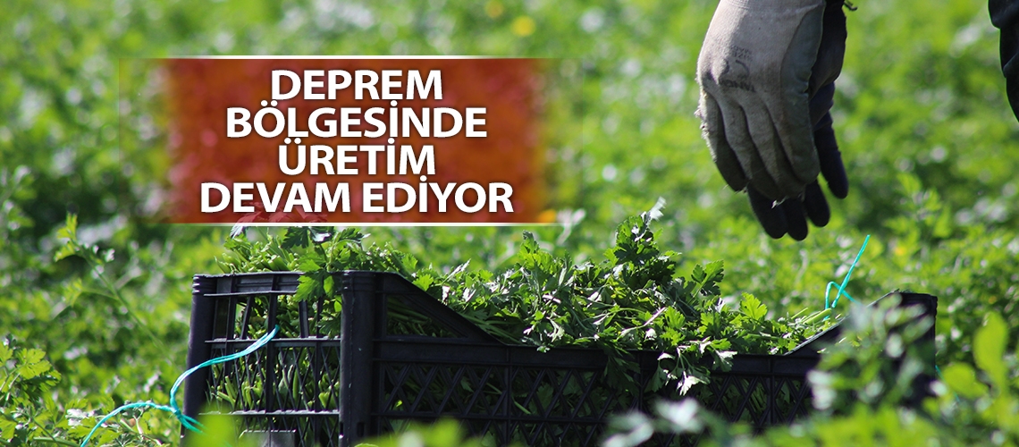 Deprem bölgesinde üretim devam ediyor