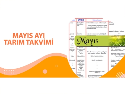 MAYIS AYI TARIM TAKVİMİ