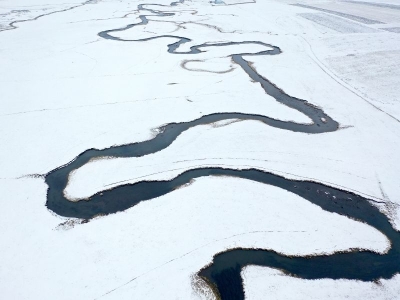 Menderesler hayvancılığa katkı sağlıyor